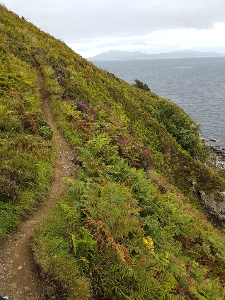 Küstenweg bei Elgol. Ein schmaler Weg führt an der Küste entlang, die Seiten sind mit Gras und Farnen bewachsen. Im Hintergrund sieht man die Black Cuillins. Das Wasser und der Himmel sind grau. 