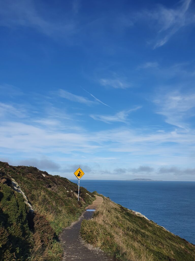 Küstenpfad (Howth Cliff Walk) auf Howth Island. Im Hintergrund Felseninsel in der irischen See.