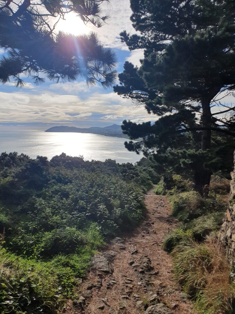 Kiefernnadeln bedeckter Pfad an der Küste mit Ausblick auf die irische See