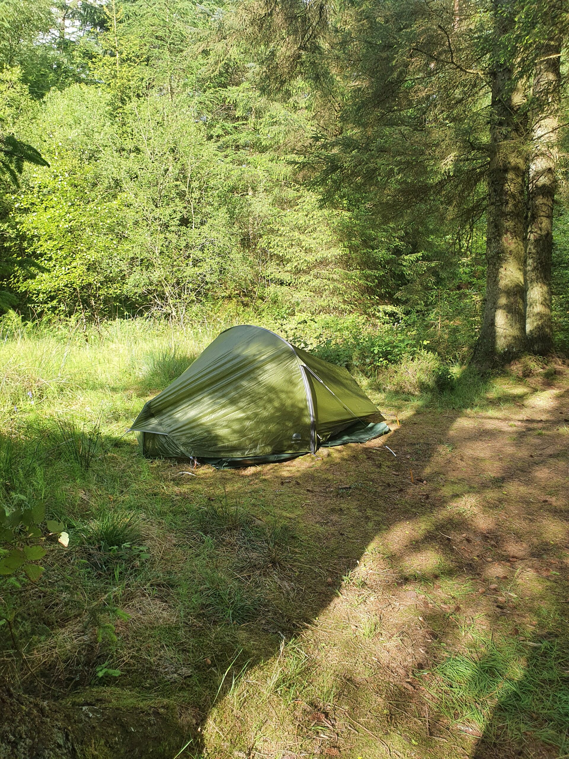 Erster Zeltplatz auf einer Waldlichtung am Wegesrand vom West Highland Way