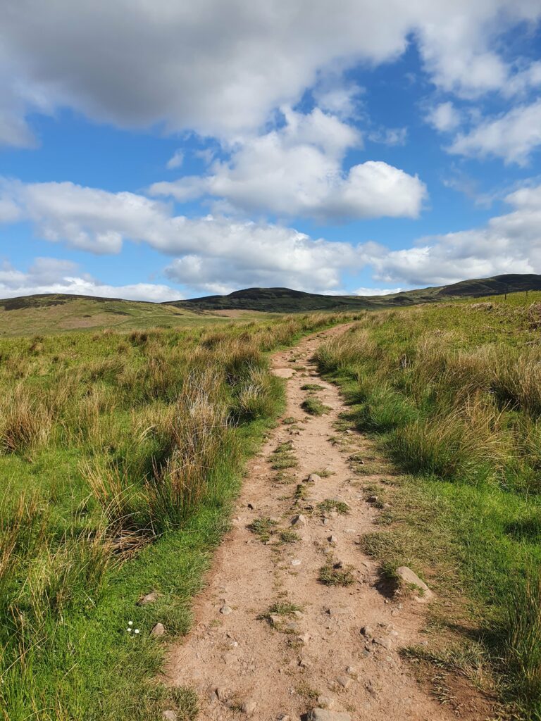 Weg zum/vom Conic Hill von/nach Garadhban Forest/Drymen. Teil des West Highland Way 