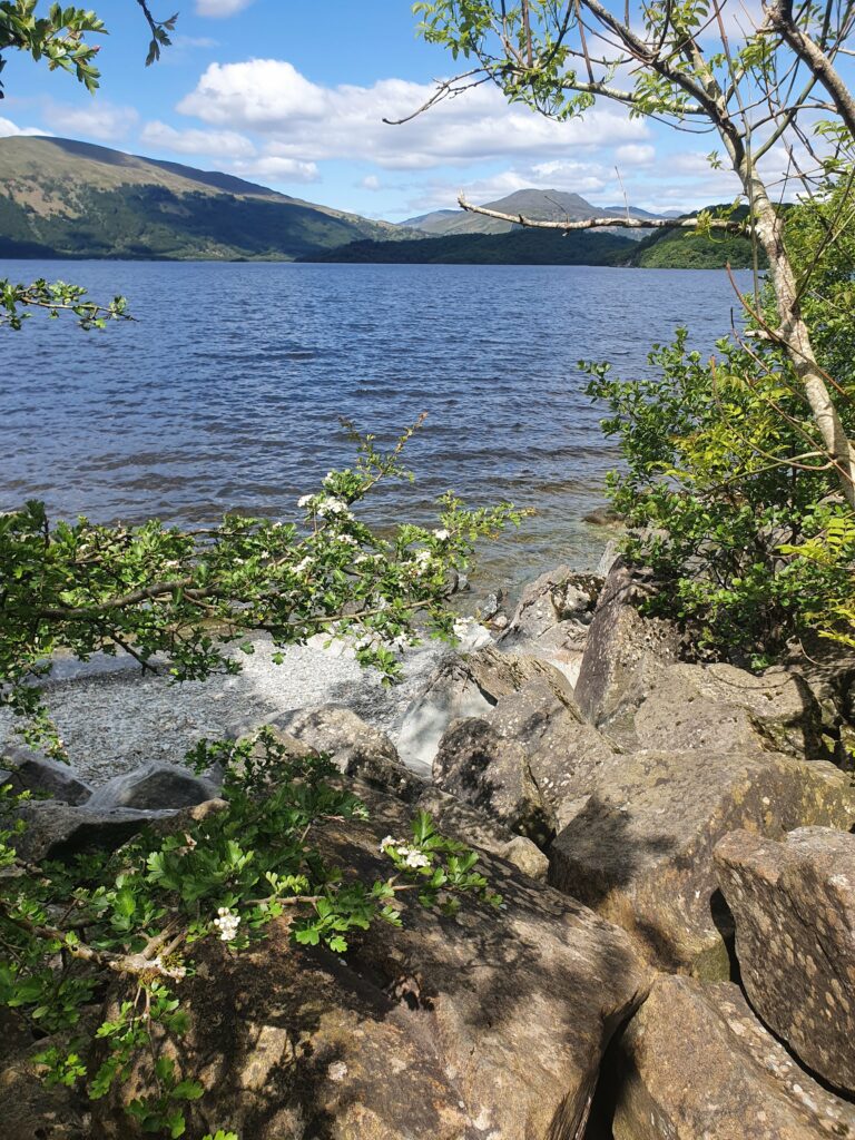 Blick vom West Highland Way über Loch Lomond. Im Hintergrund die Ausläufer der Highlands. Der Himmel ist blau mit einigen weißen Wolken. 