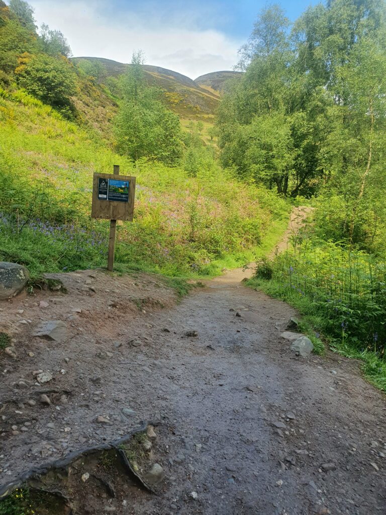 Weg zum/vom Conic Hill von/nach Balmaha. Die Hügel sind grün